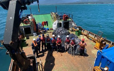 Grupo Red Mar: experiencia y compromiso al servicio del mar del sur de Chile